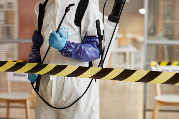 Professional Sewage Cleanup technician working in Kimball, MN